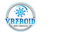 LOGO VR FROID